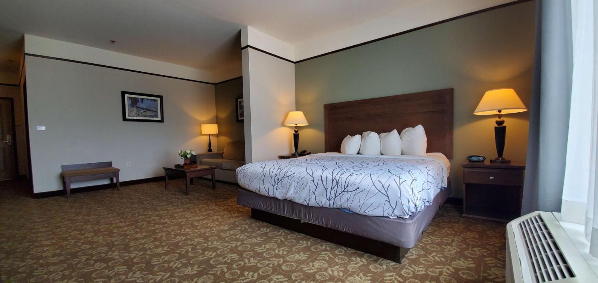Best Western Plus Emory At Lake Fork Inn & Suites Εξωτερικό φωτογραφία